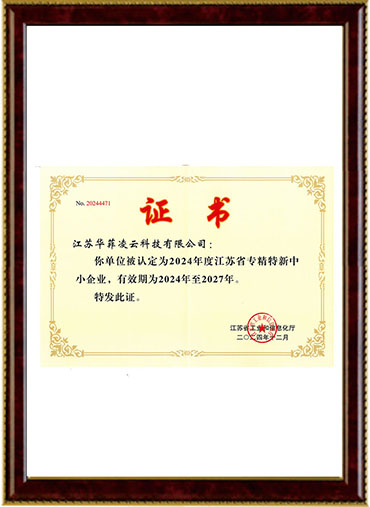 江苏省专精特新证书